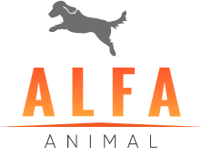 Hospital Veterinario Alfa Animal